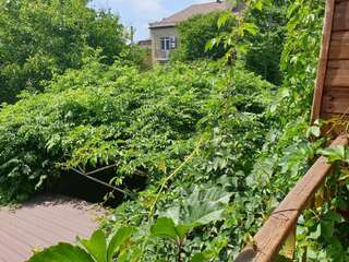 Гостевой дом Пансионат Аркона Анапа  Семейный номер Комфорт-5