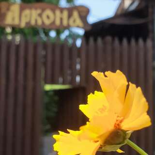 Гостевой дом Пансионат Аркона Анапа  Семейный номер Комфорт-3